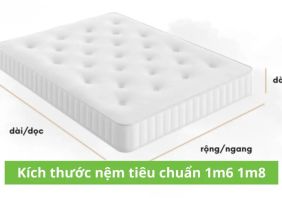 nem 1m6x1m8 1 0013f3ad