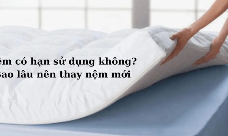 han su dung nem 1 02ca8b59