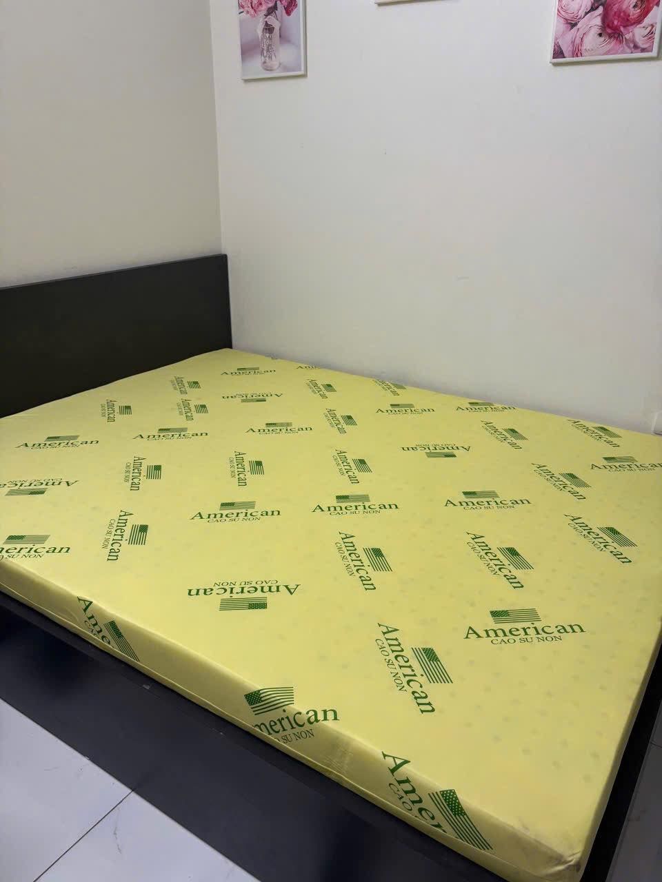 dem cao su non american 6 14214d28