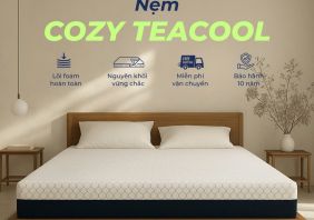 nem foam tra xanh cozy teacool 1564fbee
