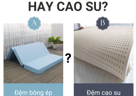 DEM BONG EP HAY CAO SU 1a0f2db2