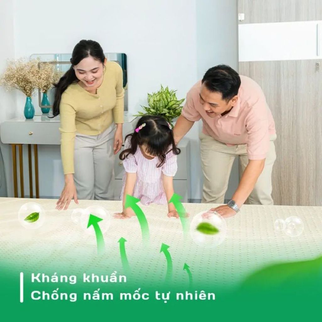 nem cao su thien nhien neso sonia nso dcssn 2 1c9f1737