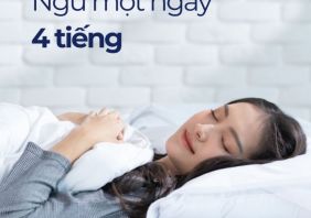phuong phap ngu 4 tieng mot ngay 211846e6