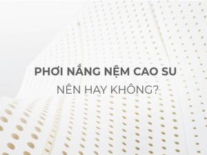 nem cao su co phoi nang duoc khong 1 e1767599895149 25ebc81e