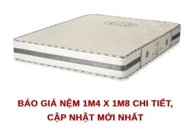 nem 1m4 x 1m8 e1779788141588 2b5bbe4b