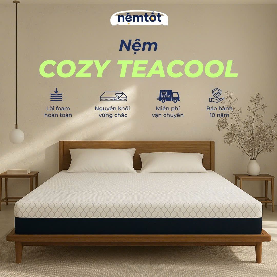 nệm foam cozy teacool