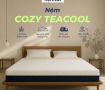 nem foam tra xanh cozy teacool 2eb178a7