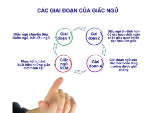 chu ky giac ngu 1 2f121f17