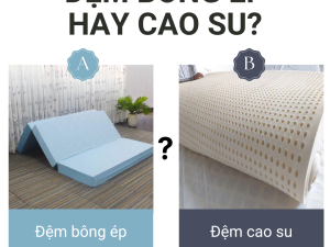 DEM BONG EP HAY CAO SU 33db02a5