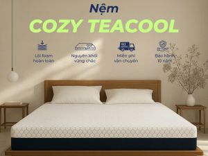 nem foam tra xanh cozy teacool 3cb0d4f9
