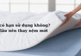 han su dung nem 1 46a9e4d3