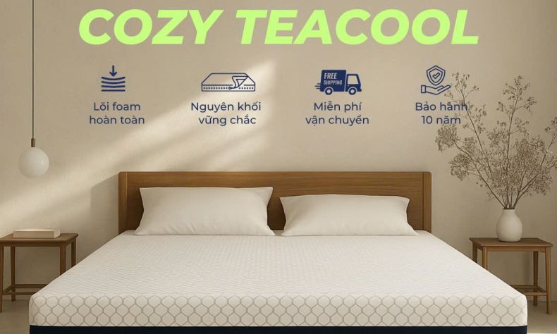 nem foam tra xanh cozy teacool 51079464