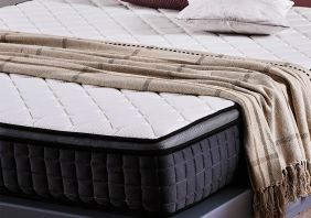 nem hybrid 1 53071f0a