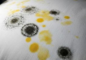 vo goi bi moc 1 53611b9c