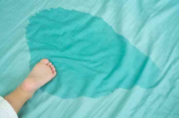 nem bi dai dam 1 5d1532ea