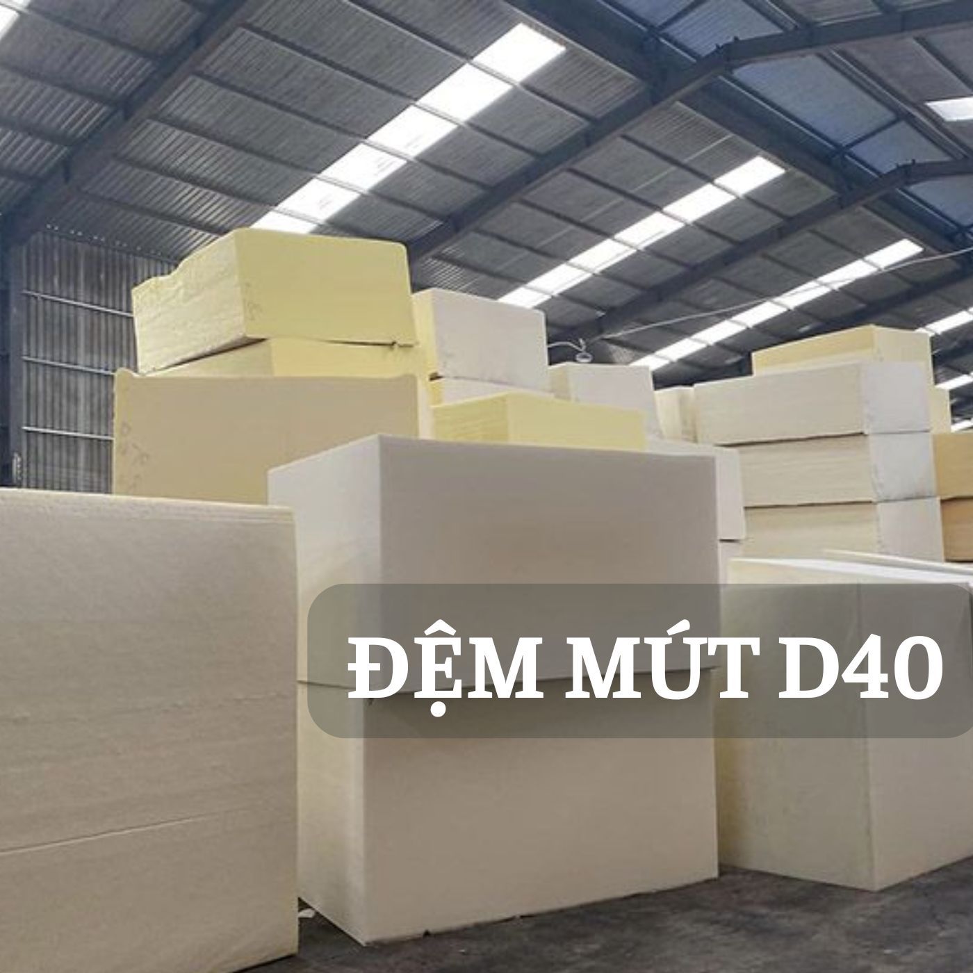nệm mút D40