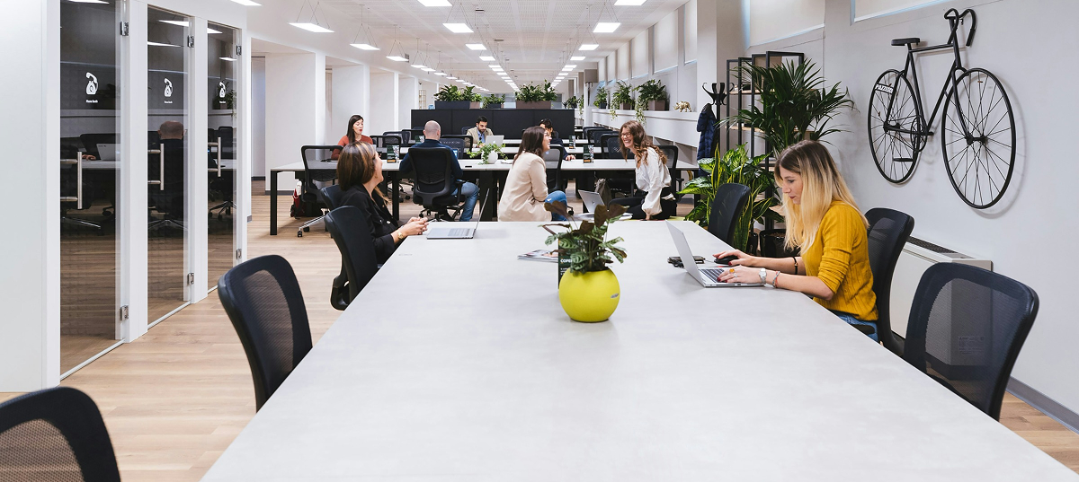 Frame 1000016900 2 6a2c33a5