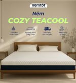 nem foam tra xanh cozy teacool 6b40fe5e
