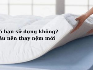 han su dung nem 1 6f7dcbc4