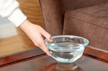 co nen de chau nuoc trong phong ngu 4 7180cca3