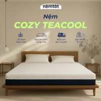 nệm foam cozy teacool