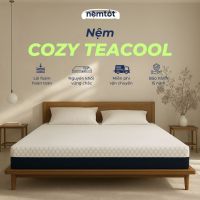 Nệm Foam Cozy Teacool CZY_DFOTC