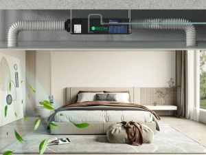nam ngu trong phong kin co sao khong 10 7d146559