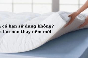 han su dung nem 1 833c1641