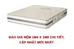 nem 1m4 x 1m8 e1779788141588 8363b869