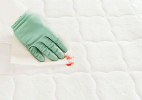 Tham dung dich len vet ban 867c130e