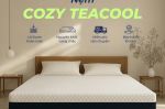 nem foam tra xanh cozy teacool 90b30a8c