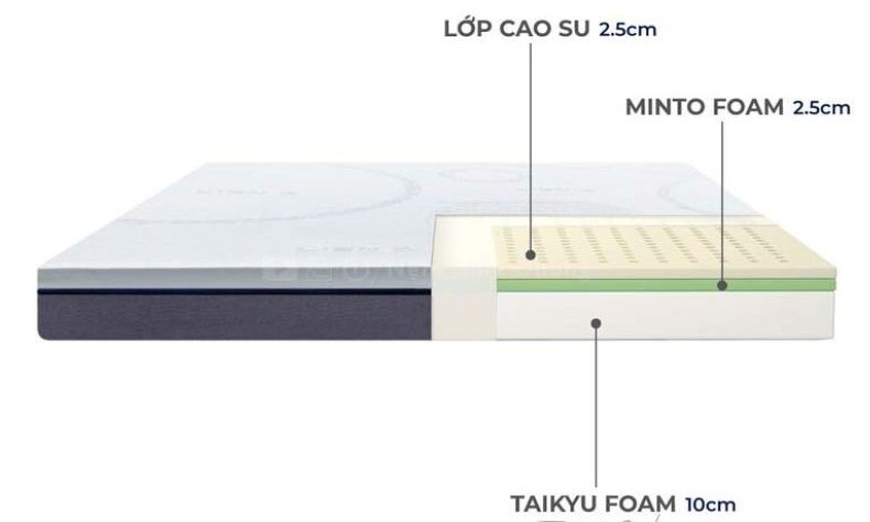 Nem hybrid cao su e1752402914485 af8ae7f2