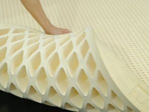 Nem cao su day 20cm b1c615fb