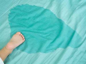 nem bi dai dam 1 b154ef6f