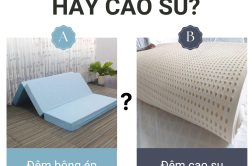 DEM BONG EP HAY CAO SU b2372b90