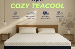 nem foam tra xanh cozy teacool bd5cfdcc