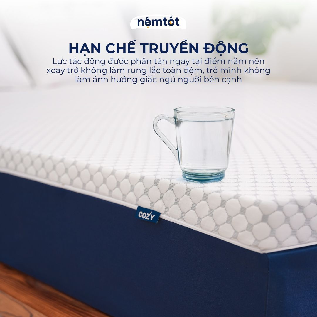 nem foam cozy teacool tra xanh 3 beb226e8