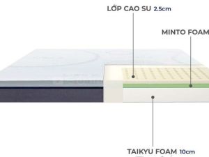 Nem hybrid cao su e1752402914485 c23da76f