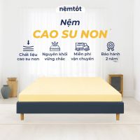 Đệm cao su non american