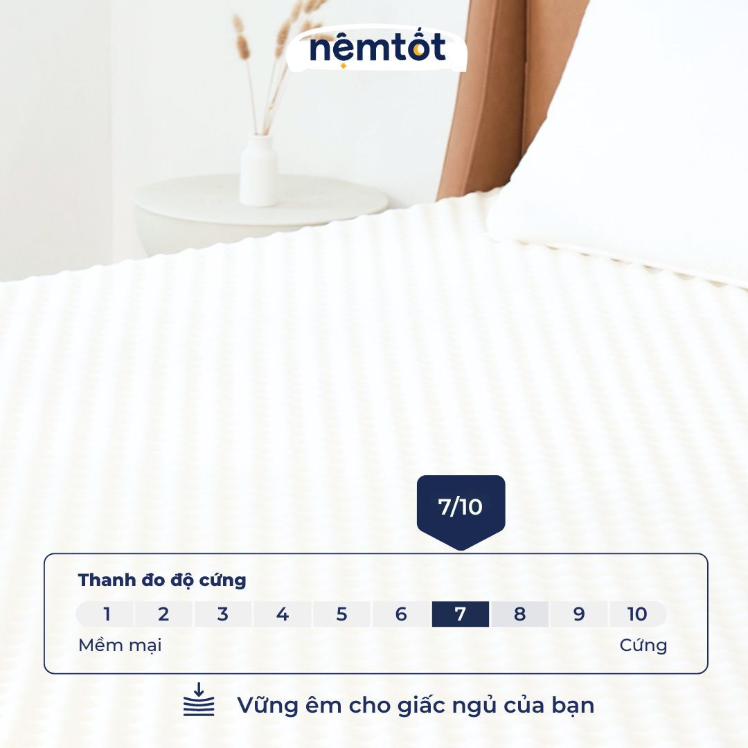nem foam cozy pro massage foam nguyen khoi czy dfoms 7 cd3763c6