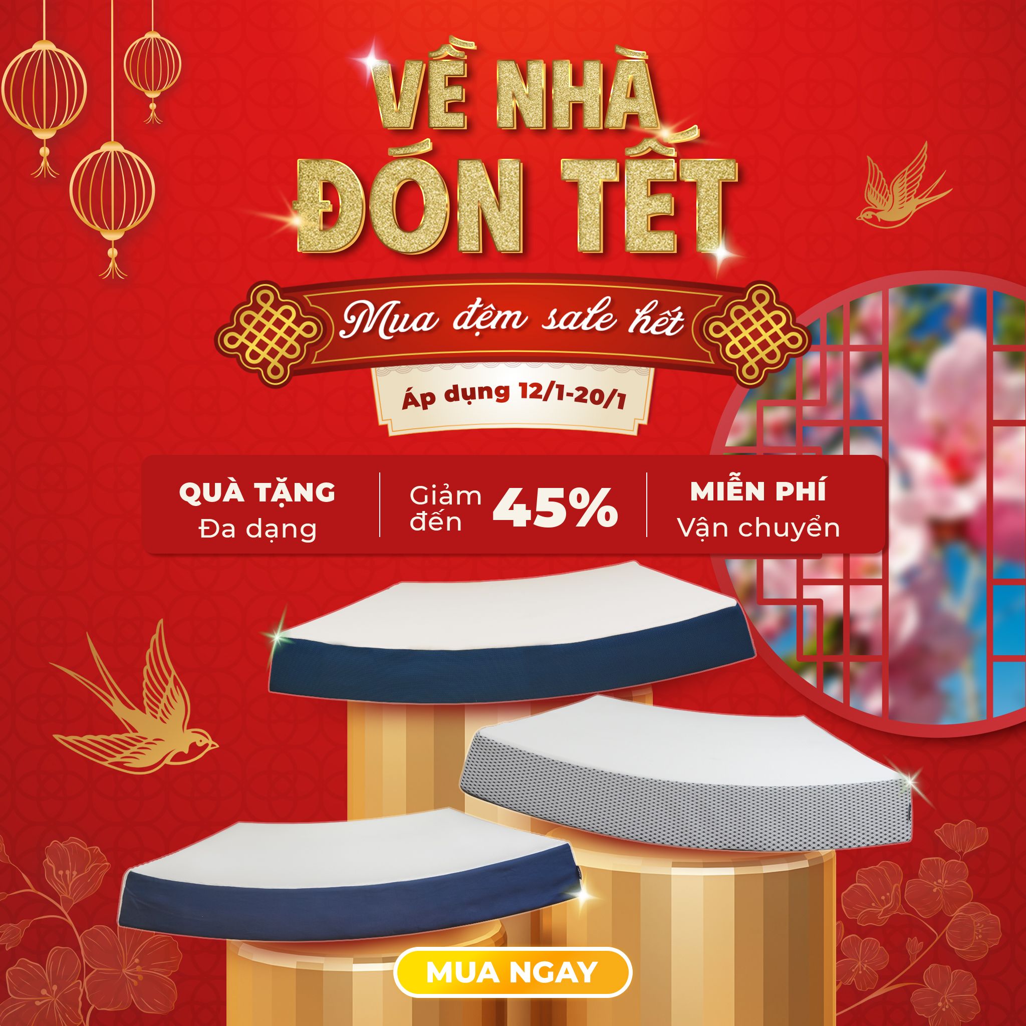 Về nhà đón tết 12/01-20/01