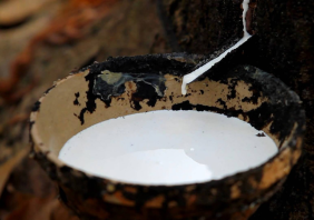 chat lieu latex d782942b