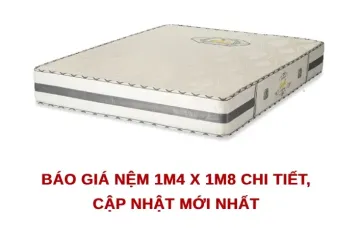 Nệm cao su thiên nhiên là gì? Có tốt không và có nên mua không? 41 nem 1m4 x 1m8 e1779788141588 eece4cd9