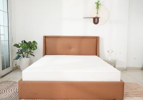 Capture One Catalog0609 1 f2b5c611