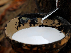 chat lieu latex fe56bb3c