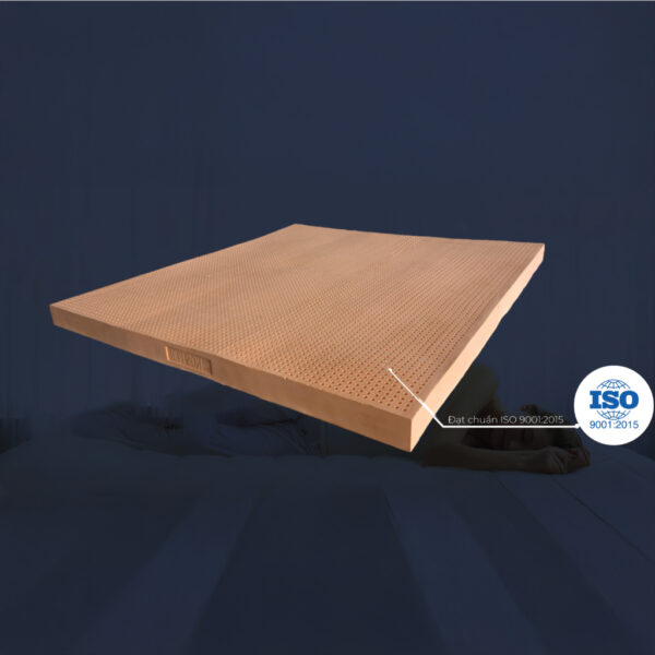 Nệm Cao Su 100% Thiên Nhiên Cao Cấp OGummi Êm Ái, Giảm Đau Lưng, Dày 10cm