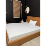 Nệm Foam Nguyên Tấm Daily Naturel, Công Nghệ Foam Thái 2025, Thông Hơi Chống Lún, Êm Ái Tối Ưu - thumbnail