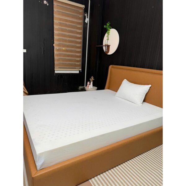 Nệm Foam Nguyên Tấm Daily Naturel, Công Nghệ Foam Thái 2025, Thông Hơi Chống Lún, Êm Ái Tối Ưu
