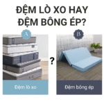 đệm lò xo hay đệm bông ép