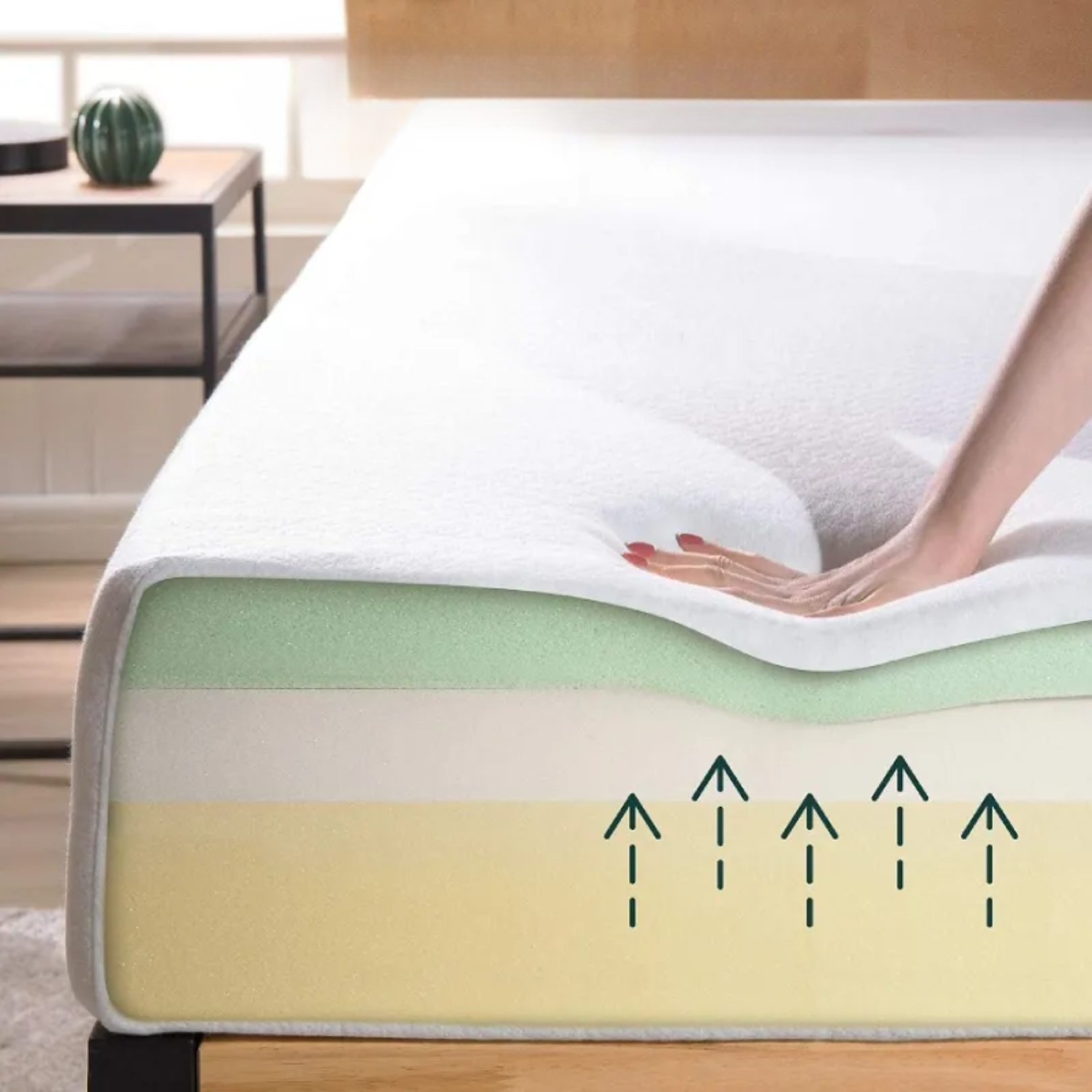 Lớp Foam Lớp Foam